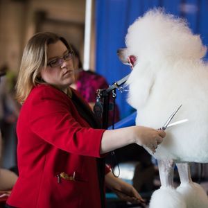 Meet your Posher, Danelle